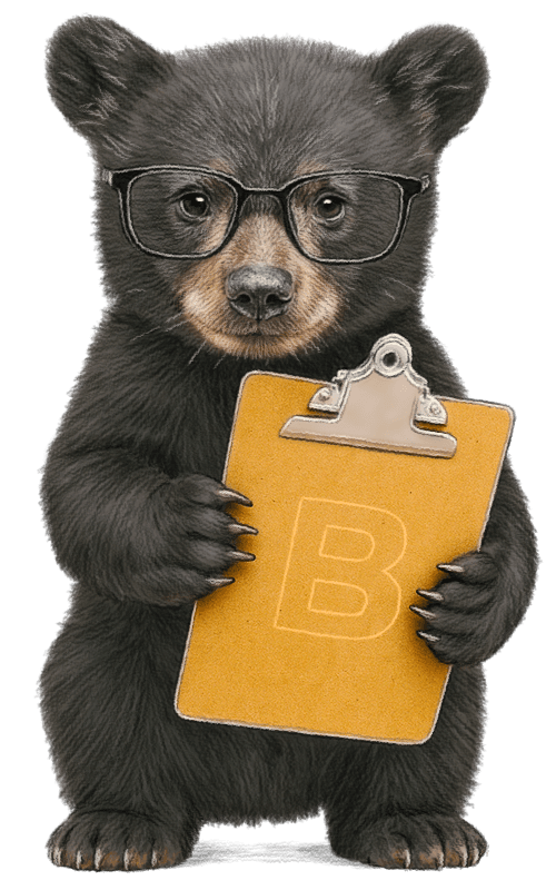 Baby Bear with clipboard